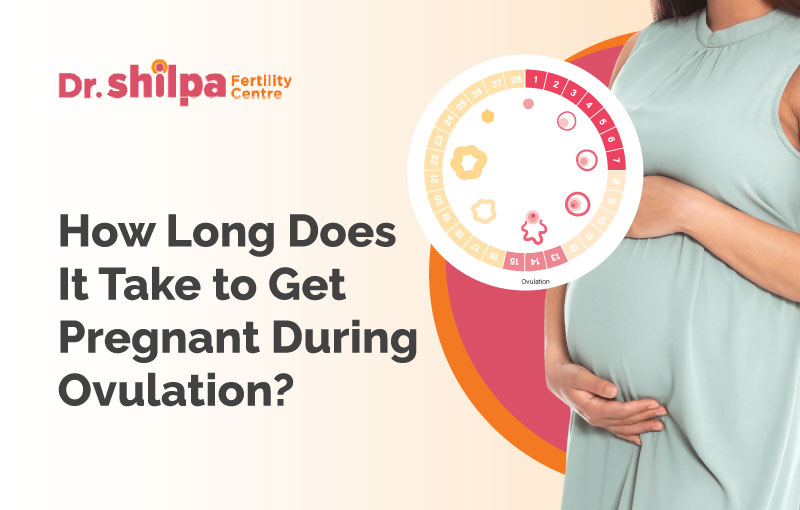 How Long Does It Take to Get Pregnant During Ovulation?